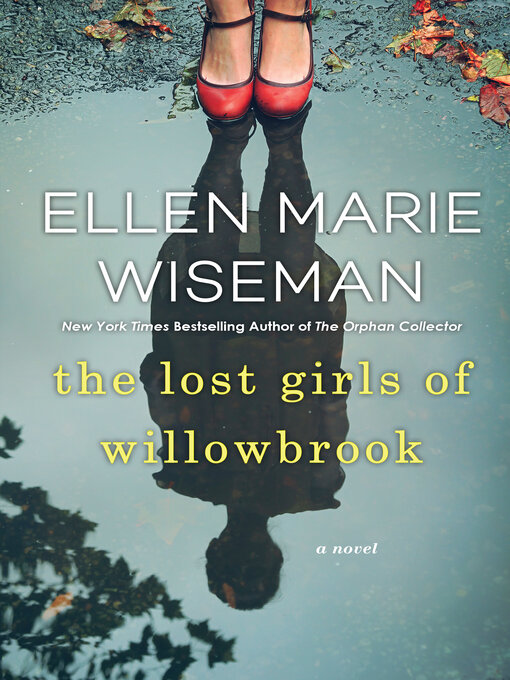 The lost girls of Willowbrook a novel